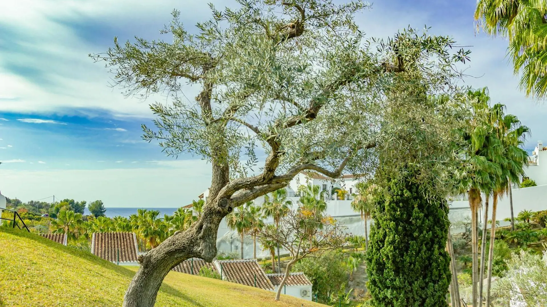 Rabat 23 Apartment Nerja Spain